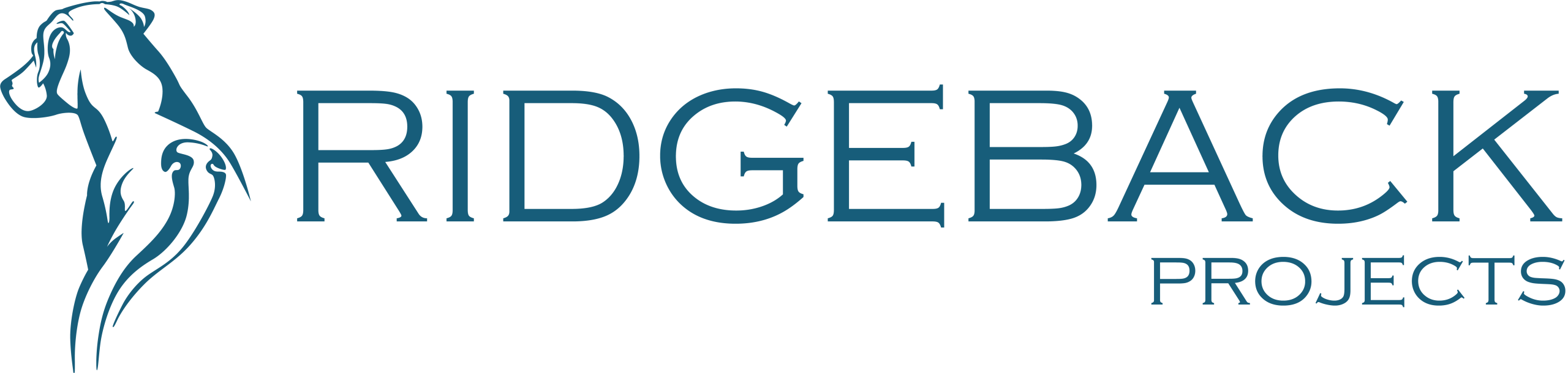 Ridgeback Projects | Specialising in Project Manangement and Surveying Service