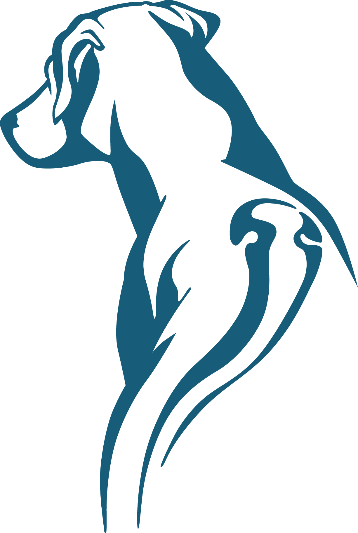 Ridgeback Projects | Specialising in Project Manangement and Surveying Service